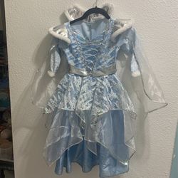 Teetot Disney Princess Costume