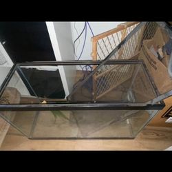 Snake Tank