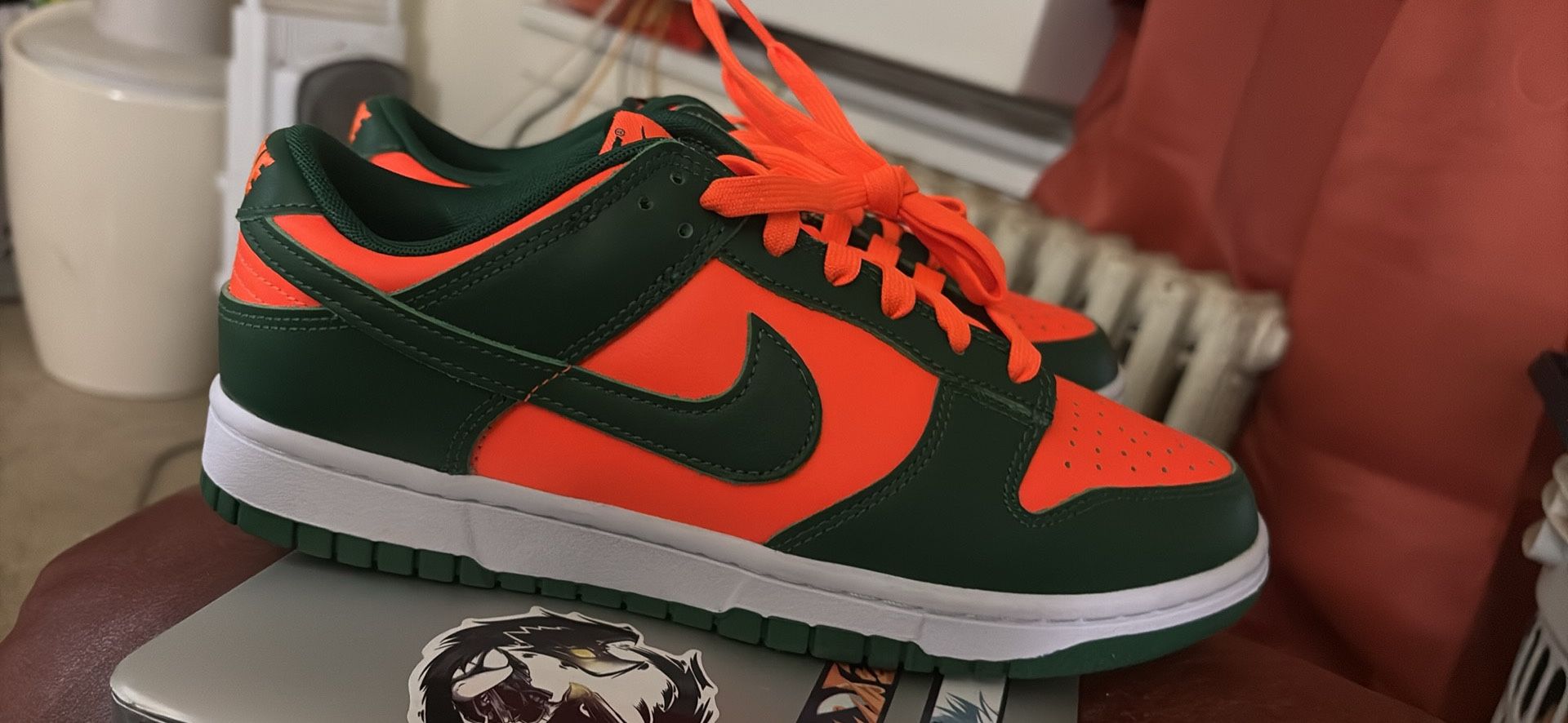 Sb Dunks Sz 8