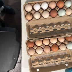 Organic Dozen Eggs