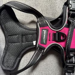 Small Dog  Harness (small)