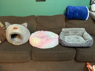 Cat Bed Bundle! - Like New