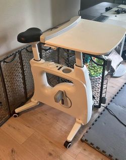 Flexispot desk bike.