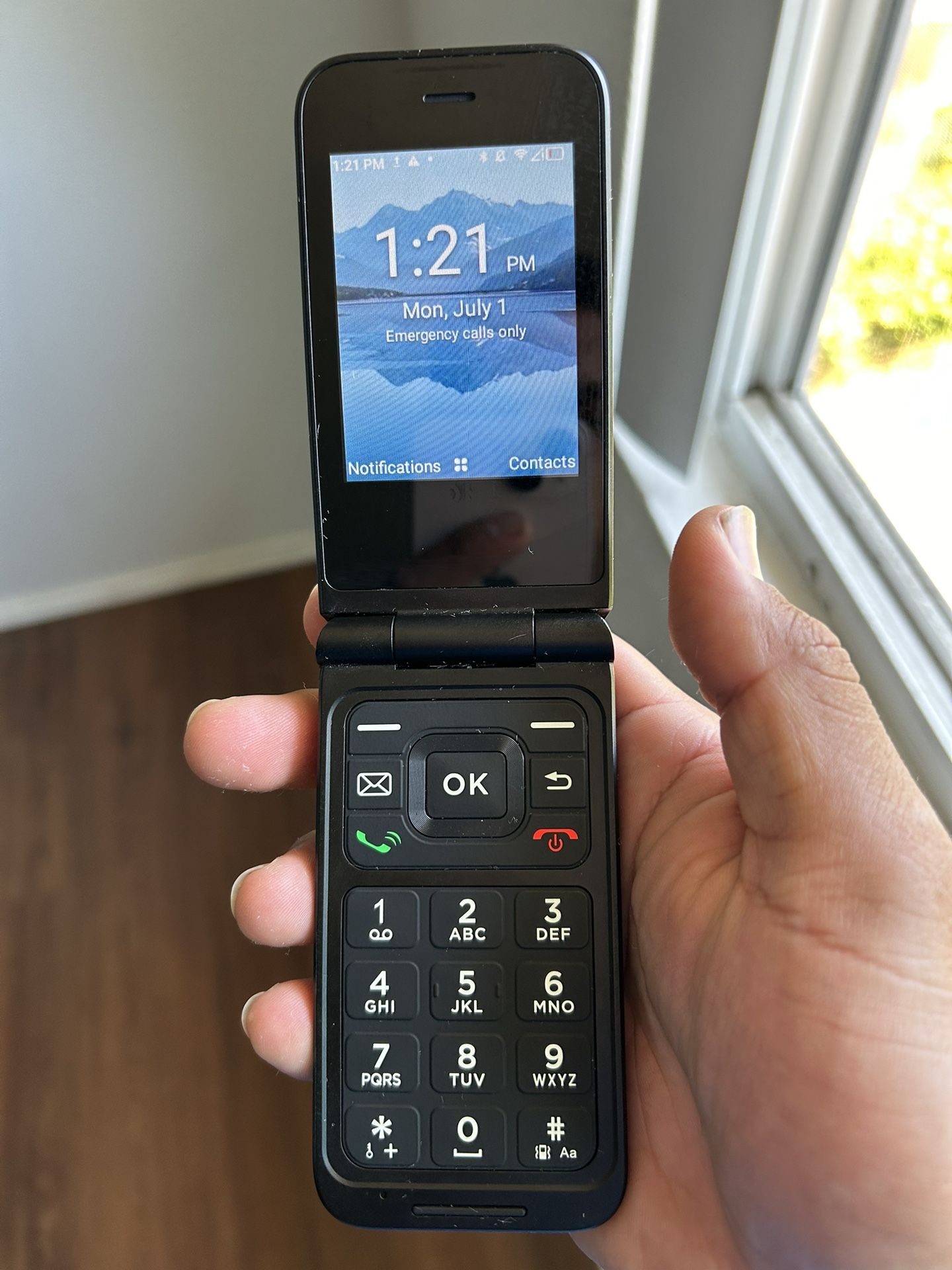 Unlocked Hot Pepper Tabasco Flip Phone