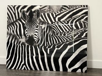 Wall Art - Acrylic artwork no frame W: 60" x H: 48"or W: 72" x H: 32"