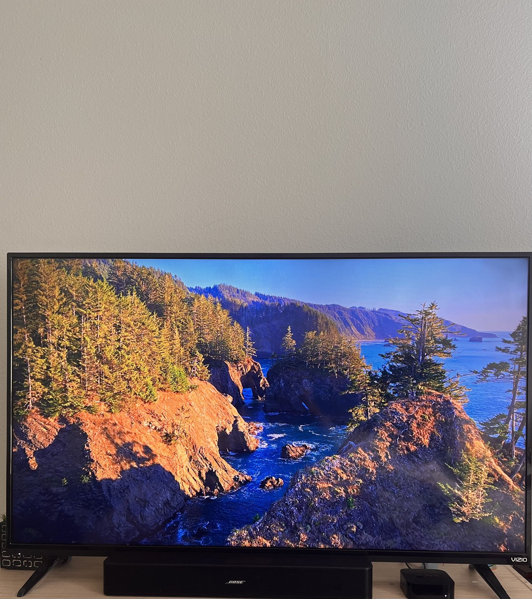 Vizio Tv 50 “ Used In Good Shape
