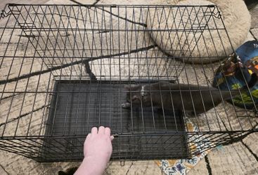 Single Door Medium Dog Crate