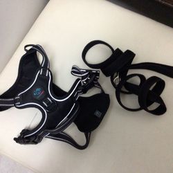 Correa De Mascotas  Large