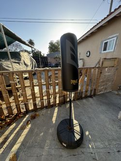 Everlast punching bag