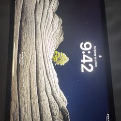 iPad Pro 11 Inch. 4th Gen 