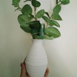 Small Ceramic Vases with Eucalyptus 