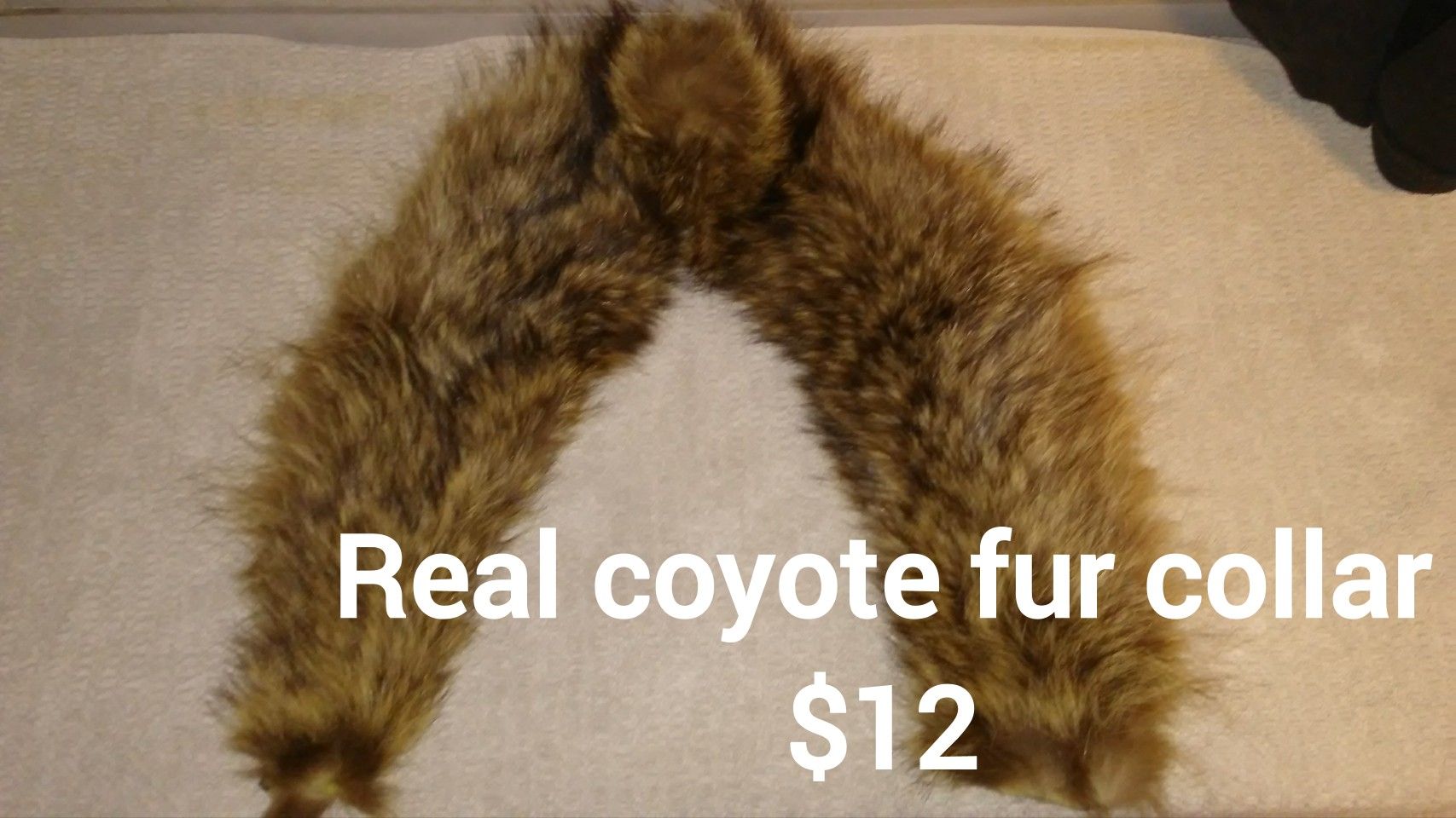 Vintage real coyote fur collar