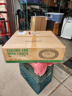 Ceiling fan with lights