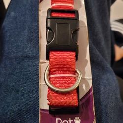 Dog Collar in Red Size Large