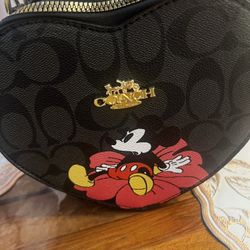 Cross Body Never Used 