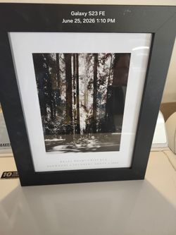 Ansel Adam's framed art