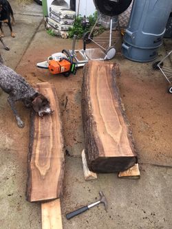 Slabs, milling, black walnut and redwood. Mobile chainsaw milling