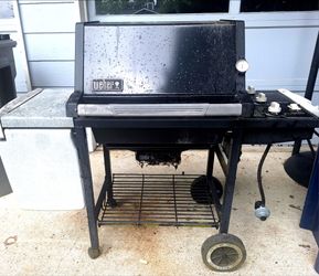 Free Weber Grill
