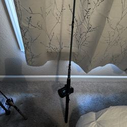 Depthmaster Rod/reel