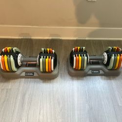 Adjustable Dumbbells 