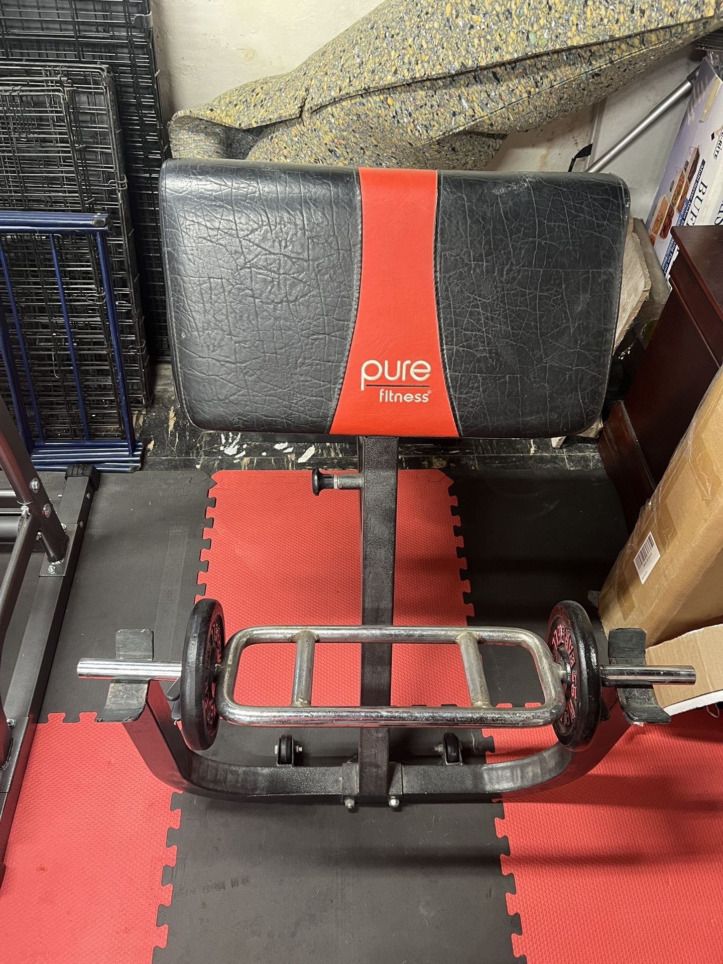 Preacher Curl Bench