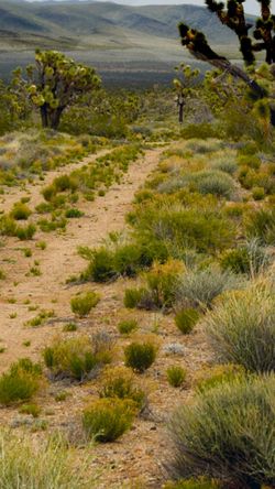 Venta de terrenos entry Dolan spring todos califican