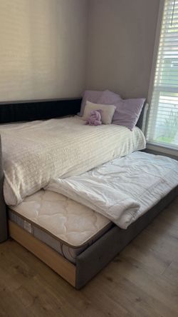 Twin Upholstered Daybed with Pull-Out Trundle & Mattresses – Excellent Condition