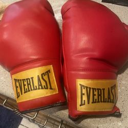 Everlast Gloves