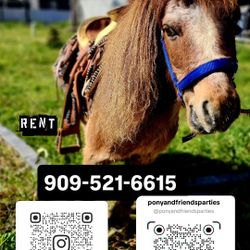Kids Mini Saddle Pony