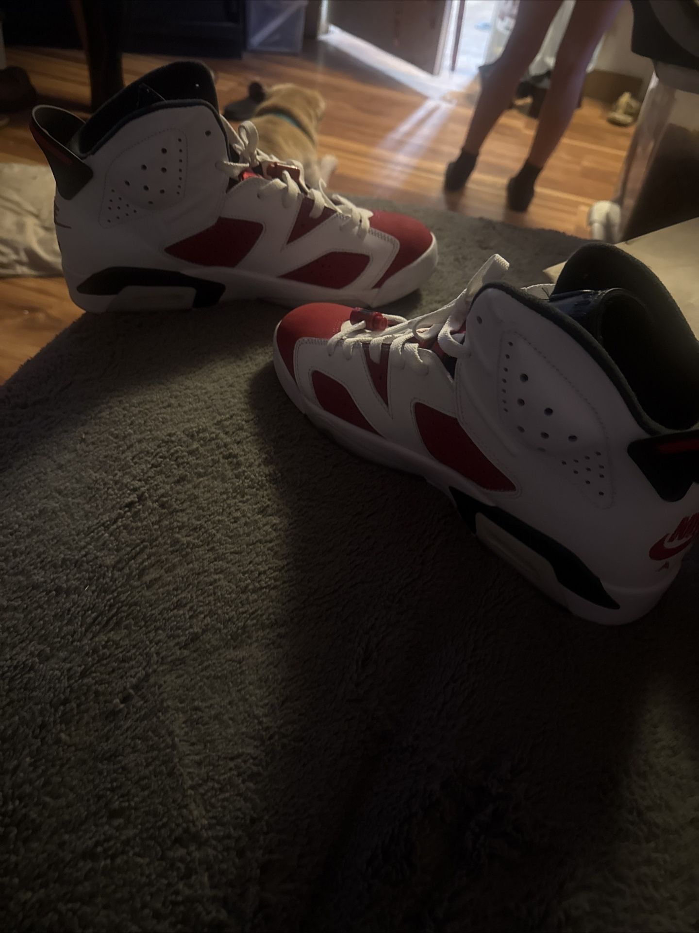 Jordan 6 Carmine