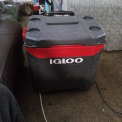 Igloo Cooler