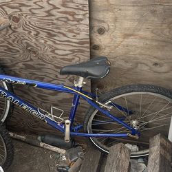 Raleigh M45 Mountain Bike/Bicicleta De Montaña