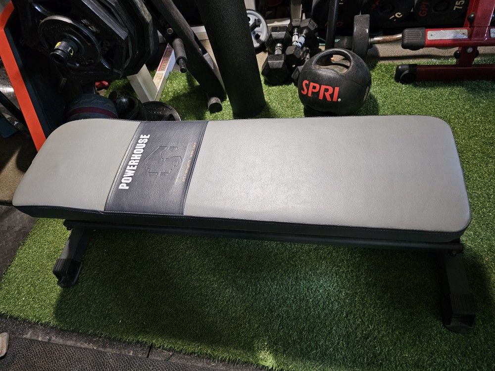 HEAVY DUTY WORKOUT BENCH