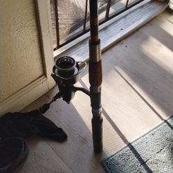 Fishing Rod