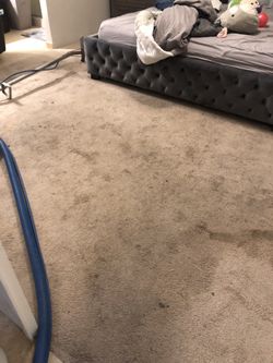 Carpet Cleaner