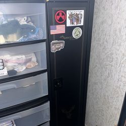 Gun Case/Cabinet