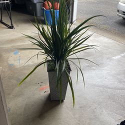 Tall Fake House Plant 