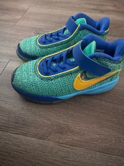 Kids LeBrons basketball shoes