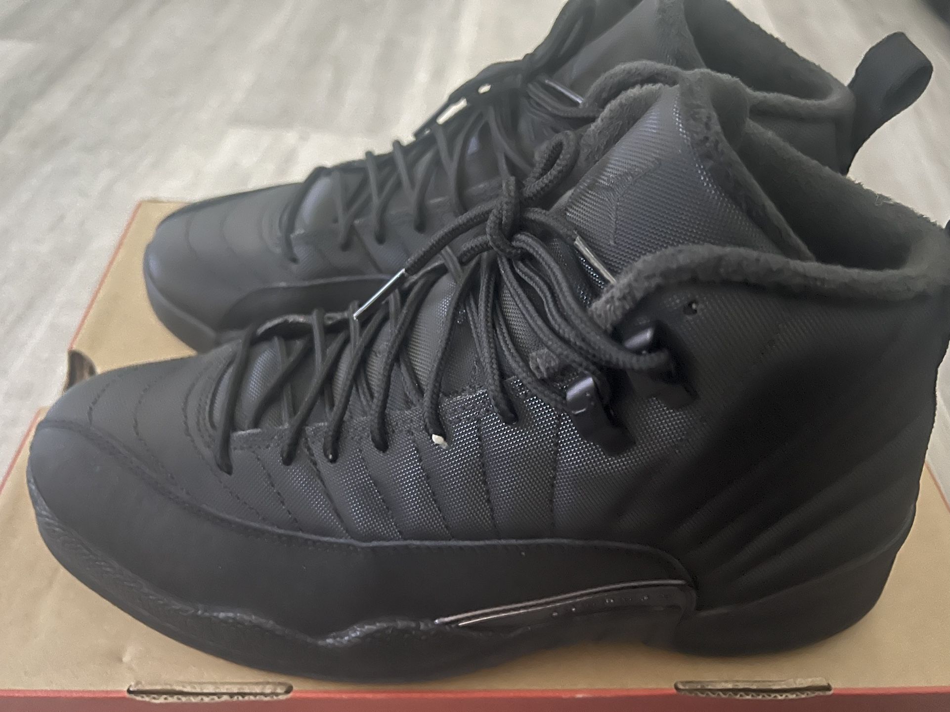 Jordan 12 winter ❄️