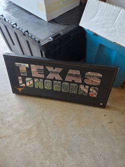 Texas Longhorn Canves Wall Art