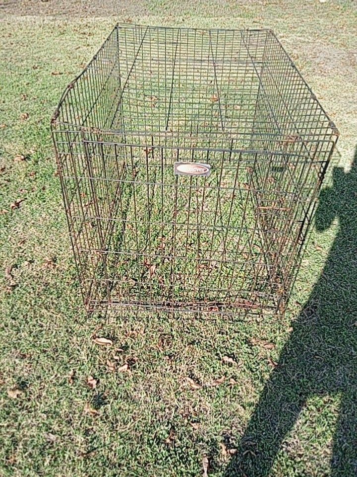 large dog cage