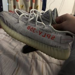 Yeezy 350 Blue Tint
