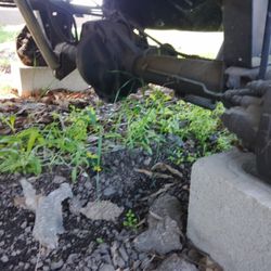 Parts Dodge Ram Rear End 2003 1500