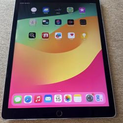 iPad Pro 12.9" (2nd Gen) – 256GB – Space Gray