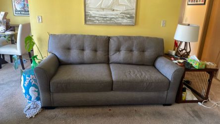 Couch with pull out bed