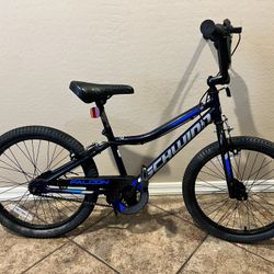 Schwinn fierce 20 cheap