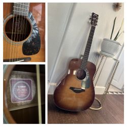 Yamaha Acoustic Guitar 