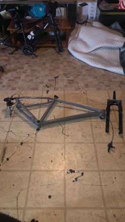 Fuji frame with forks and gears