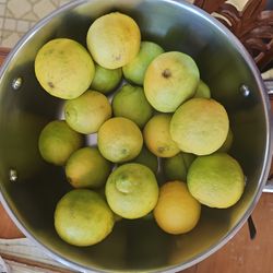 Seedless Lemon/Limon Sin Semilla. 6×$1