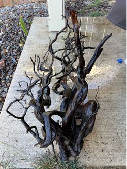Large drift wood for aquariums (show quality)